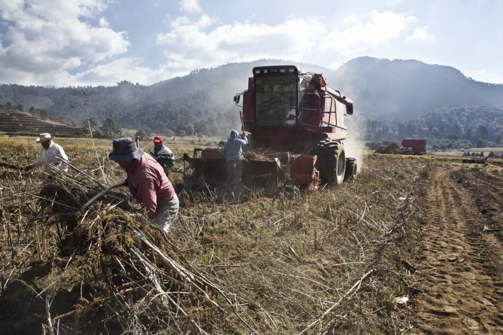 Jesús Almazán Rodríguez