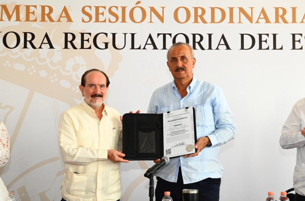 PRIMERA SESIÓN DEL CONSEJO DE MEJORA REGULATORIA 13062022 (5)