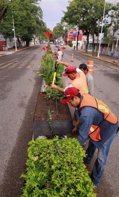 Inicia Osuna plan de reforestación de espacios públicos – Carta 