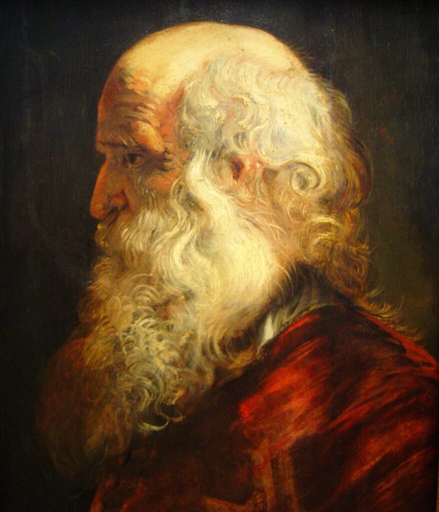 Rubens_old_man_dsc01655