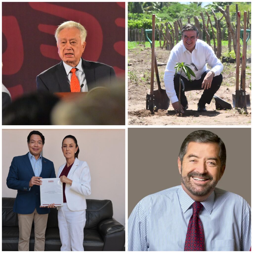 Polish_20240620_180707286