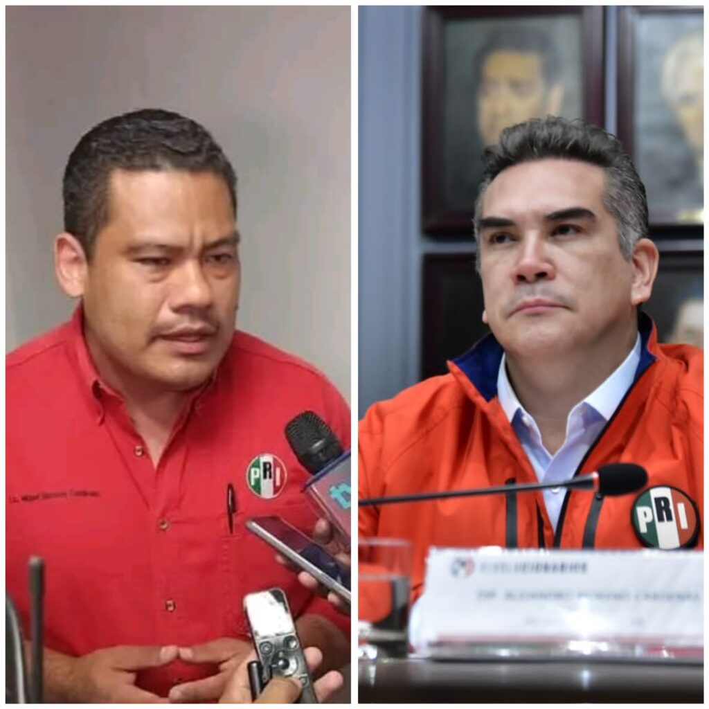 Polish_20240711_220144680