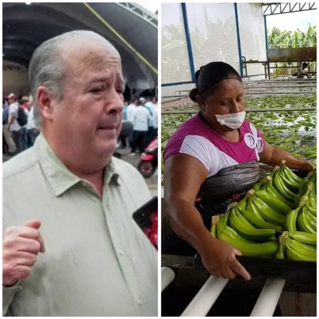 Polish_20241015_204553738