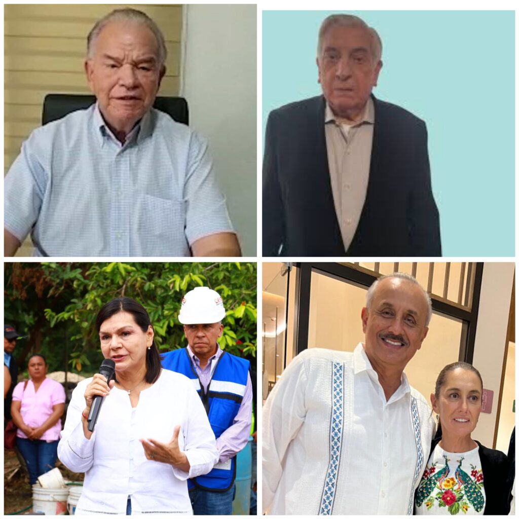 Polish_20241015_225615636