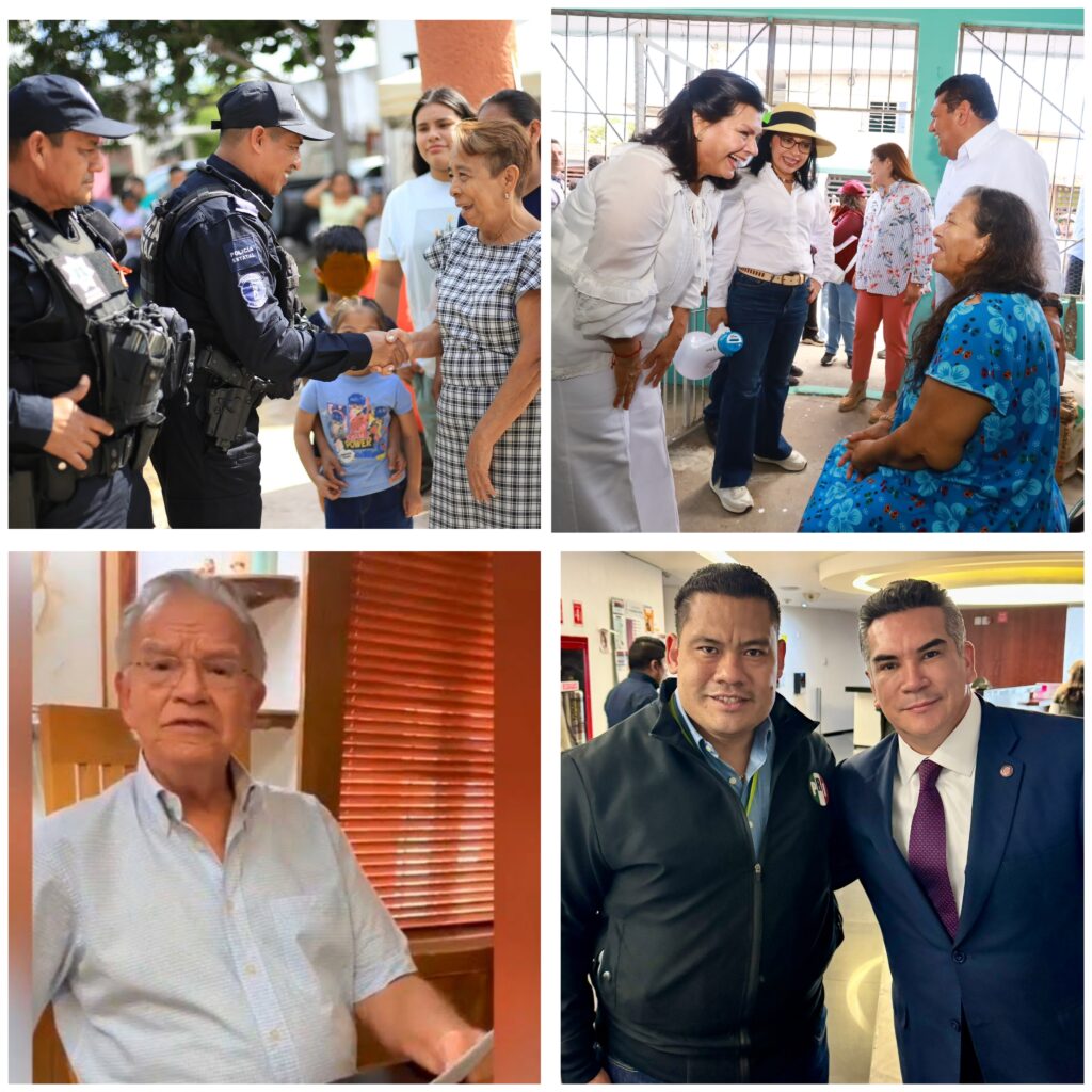 Polish_20241204_080223835