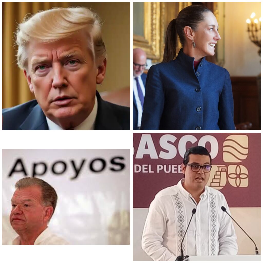 Polish_20250219_001710315