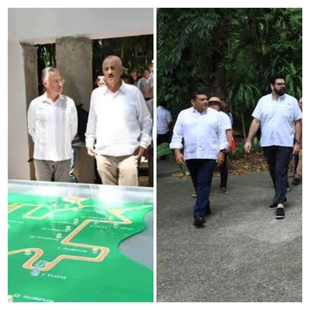 Polish_20250711_183204681