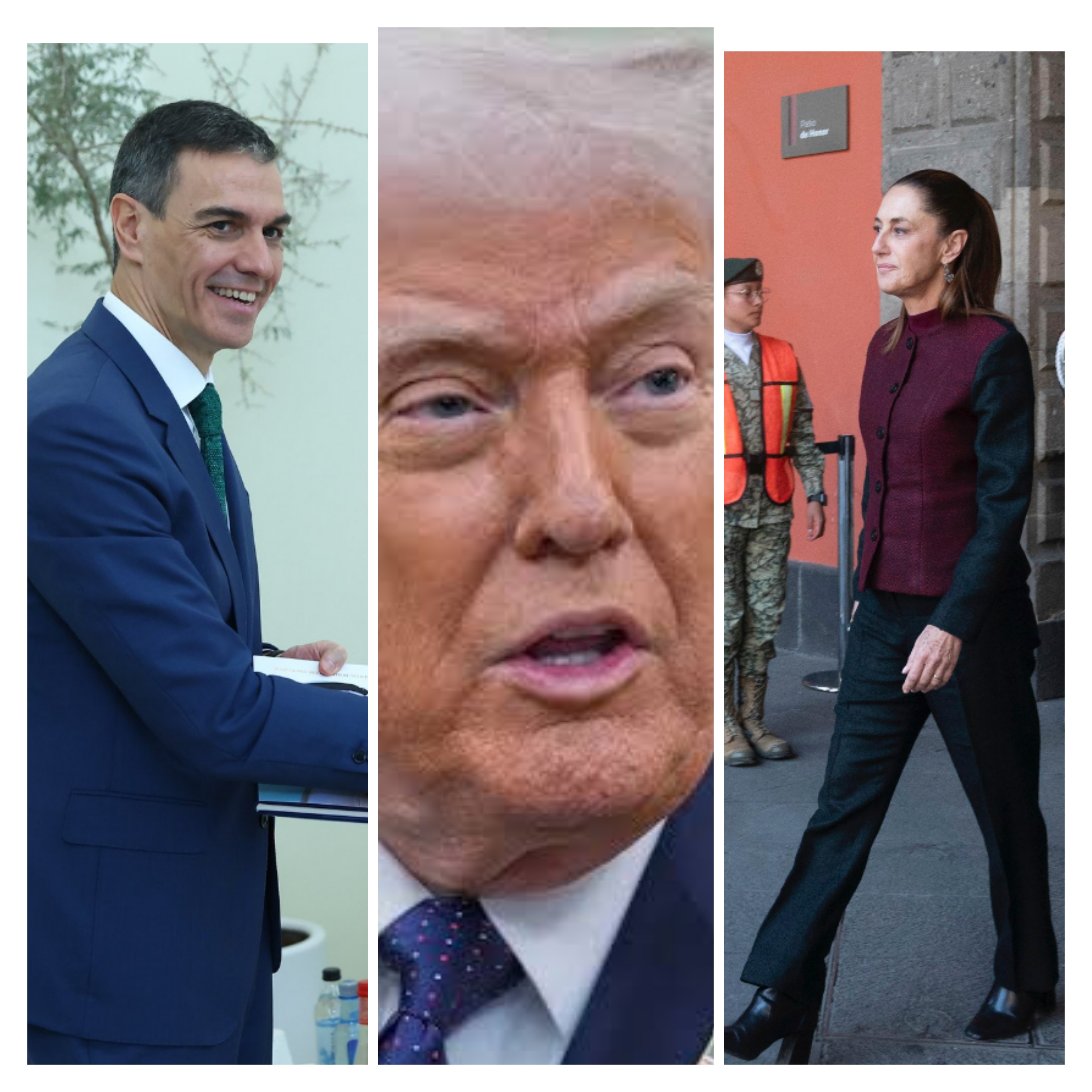 Polish_20260305_020709653