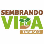 images (28)
